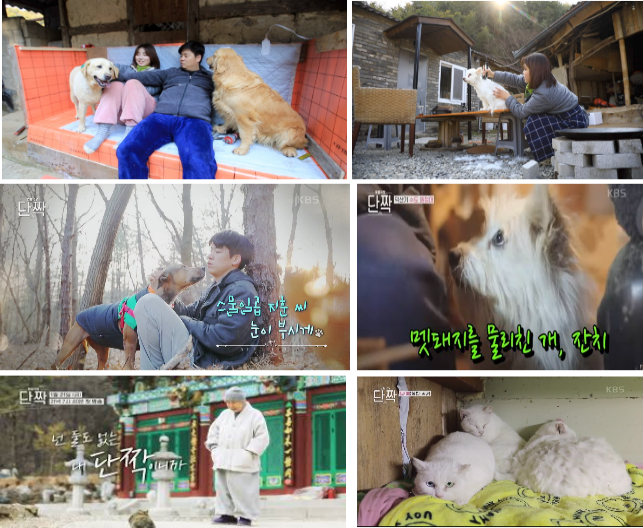 동물극장 단짝 회차정보