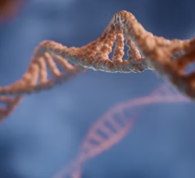 편두통 원인 증상 없애주는 간단한 습관 5가지