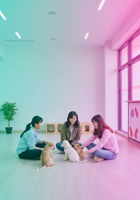 긍정적 강화 훈련