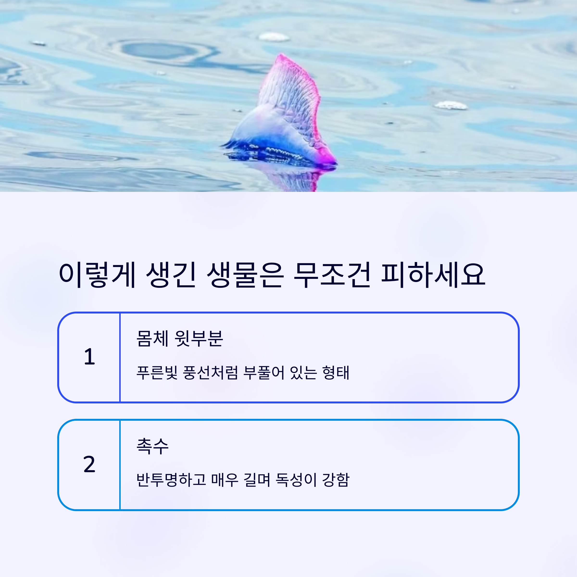 이렇게 생긴 생물 피하세요