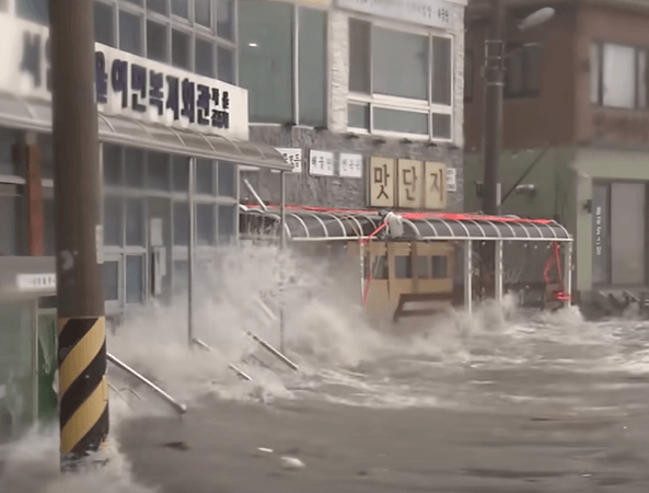 과거 태풍 영향