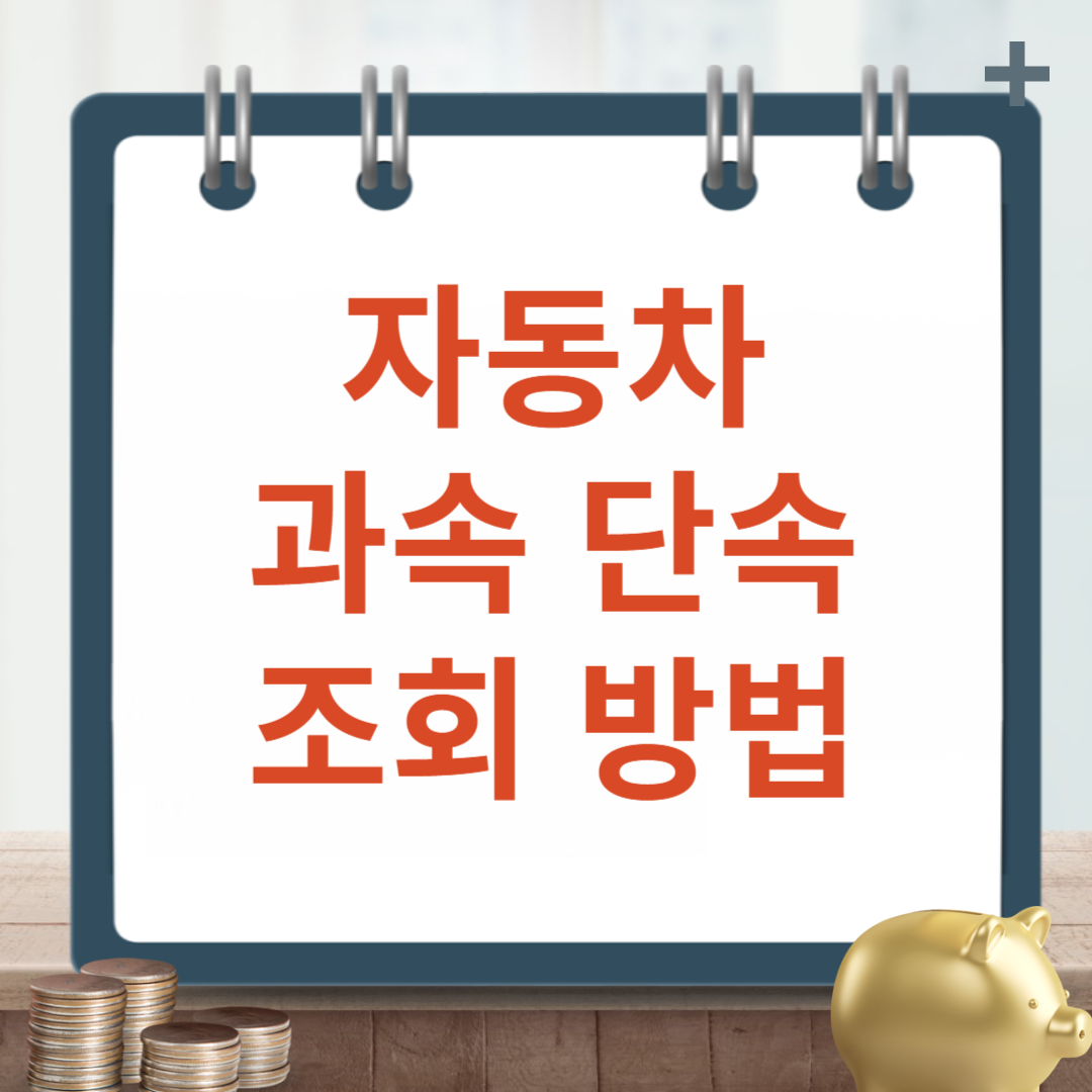 자동차 과속 단속 조회 방법