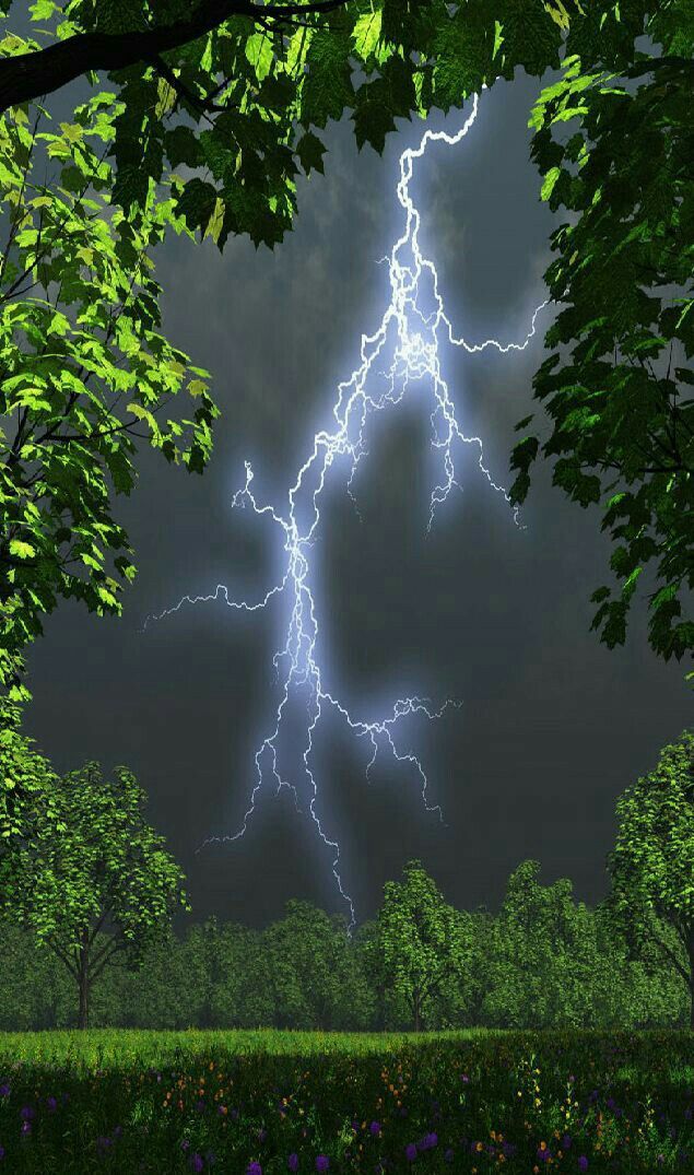 고대인의 공포 반응과 스트레스 유전자: 위험에 대처하는 방식은 유전된다?