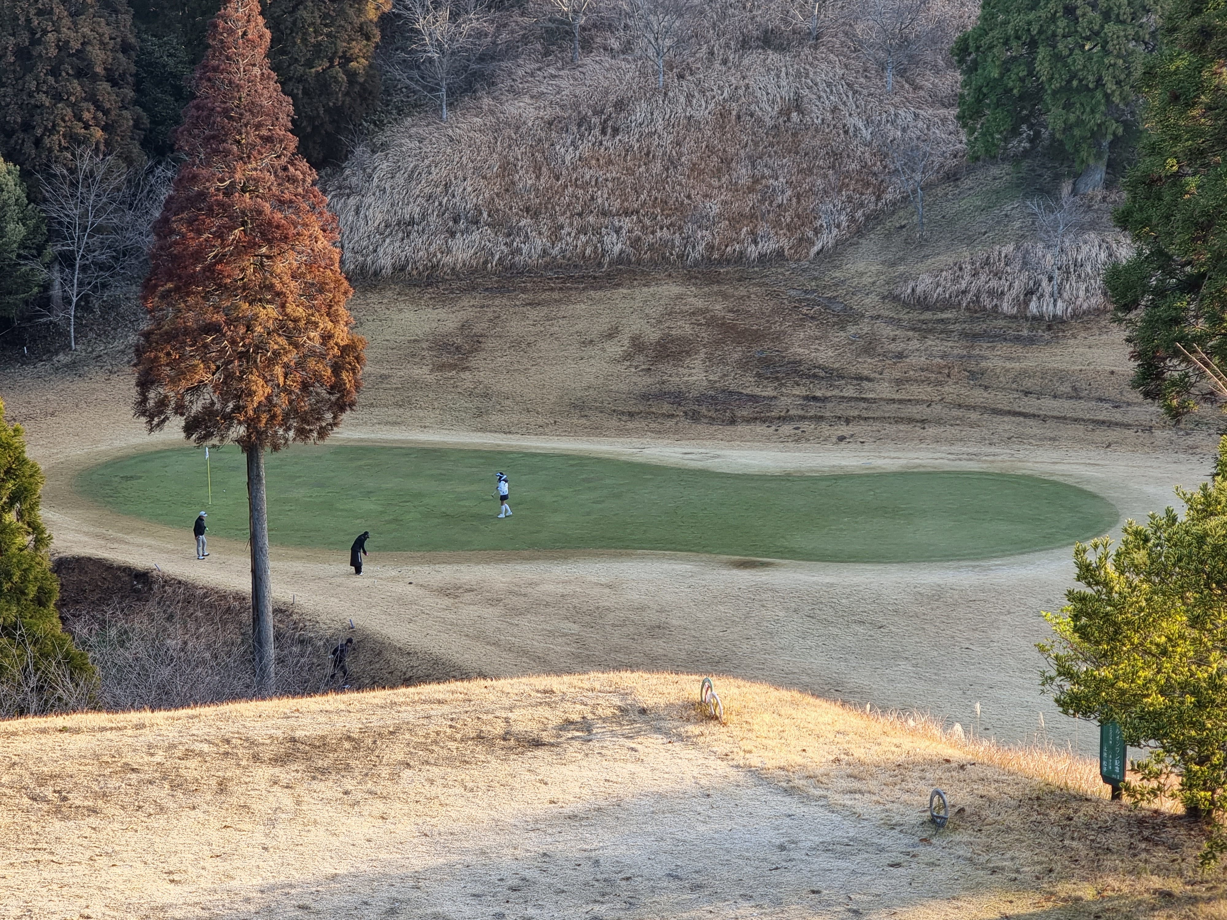 모치오CC 대표사진