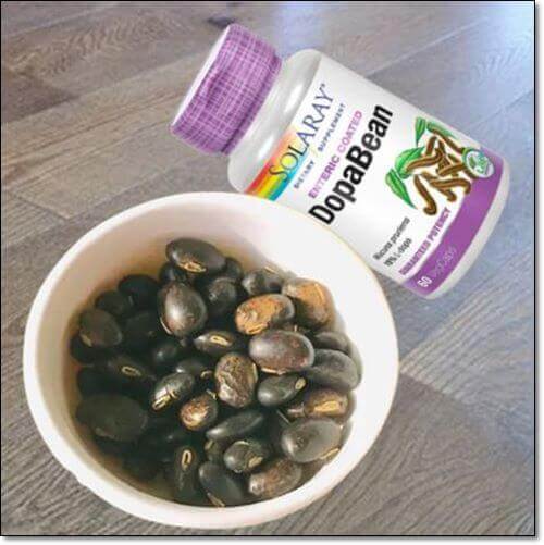 벨벳콩과 추출물