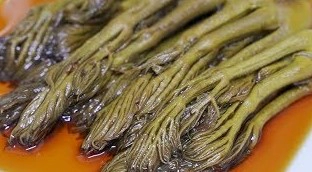 두릅장아찌 만드는법
