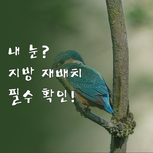 눈밑지방 재배치 적합한 다크서클 유형..