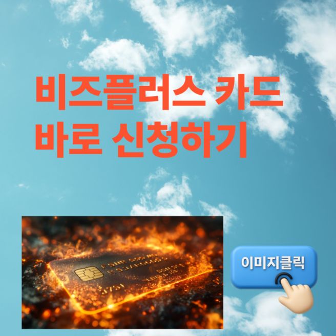 소상공인 비즈플러스카드