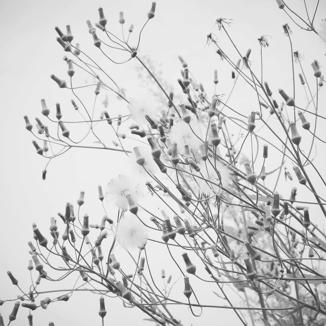 제사상 차리는 법