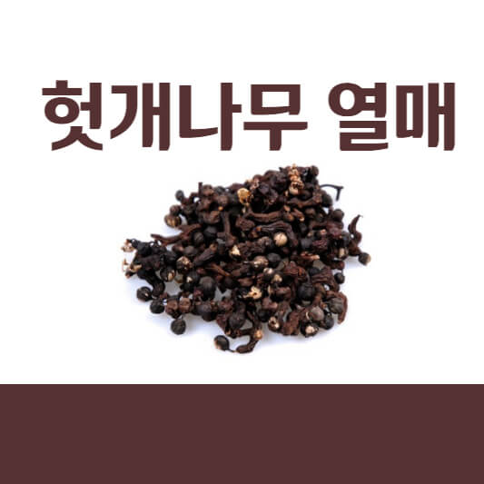 헛개나무 열매