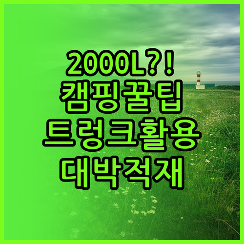 테슬라 모델Y 트렁크 2000리터 활..