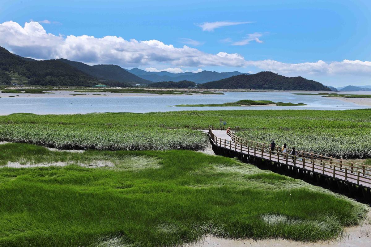 강진 여행 후기, 반값여행