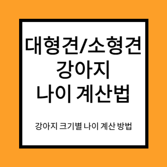 강아지 나이 계산법