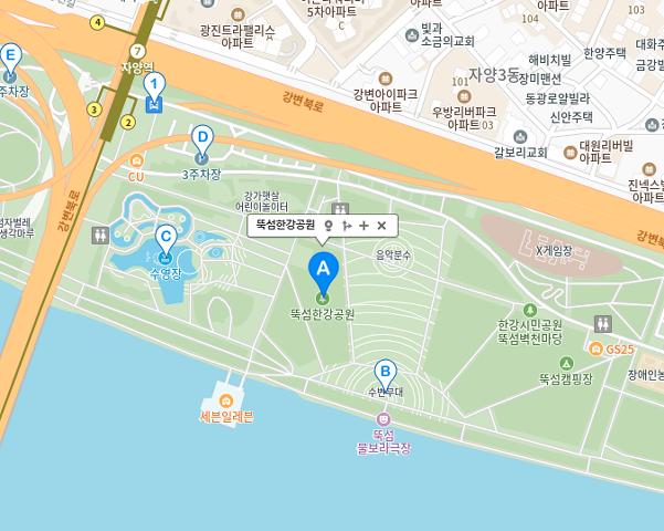 2025 한강 드론 라이트쇼