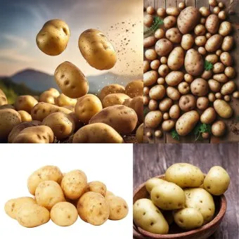 nv_감자 삶는 방법 샐러드 레시피_15