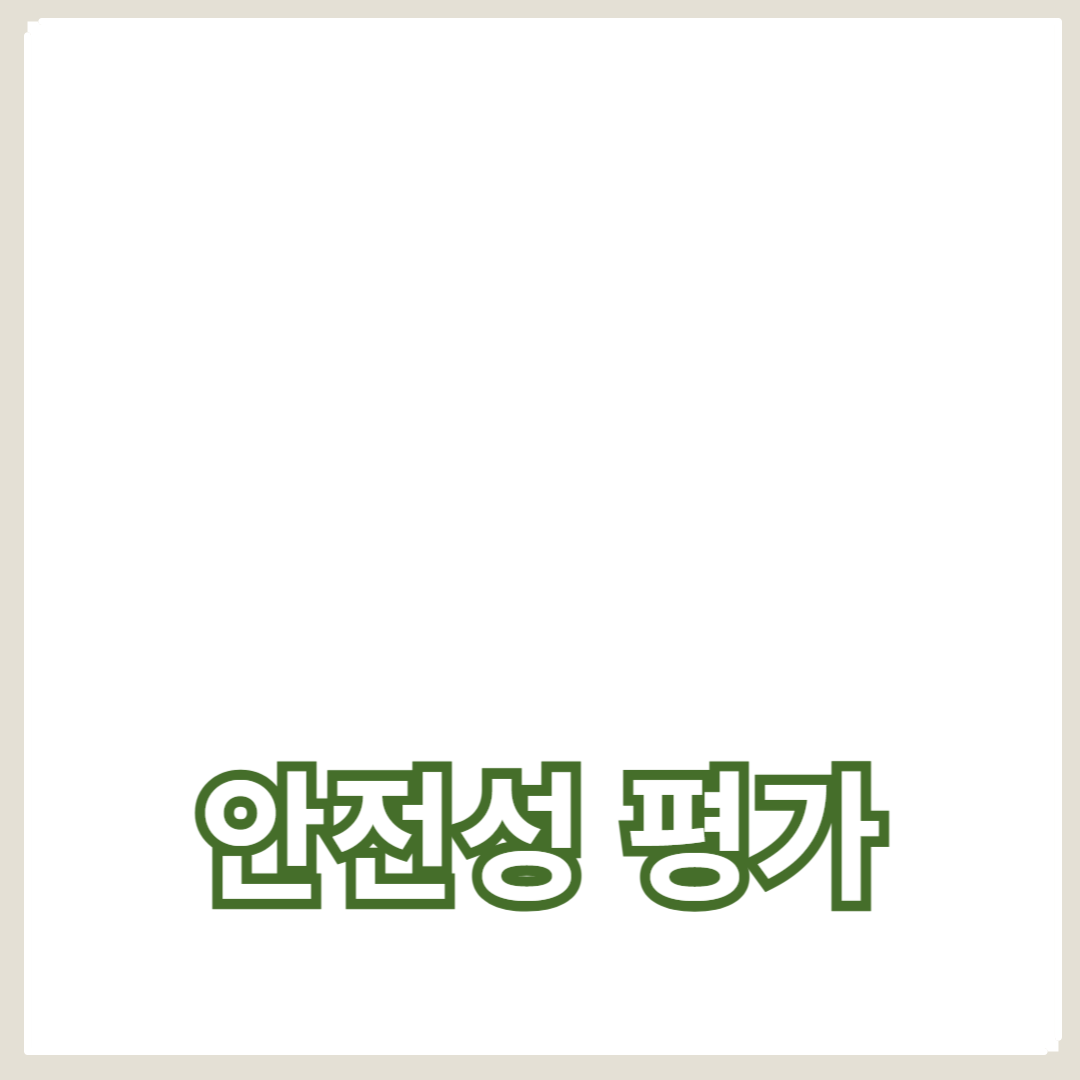 안전 테스트의 모든 것