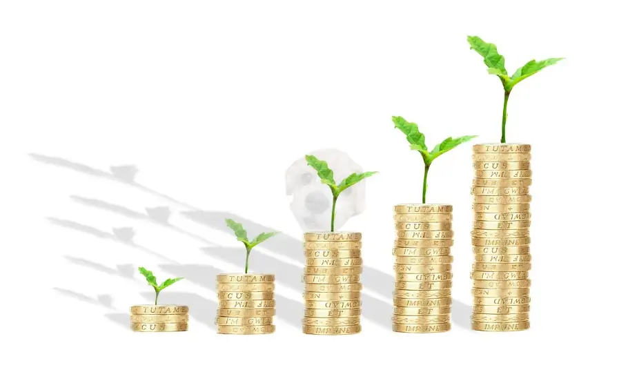 금리인상 관련 사진