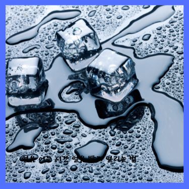 얼음 어는 시간 얼음 빨리 얼리는 법