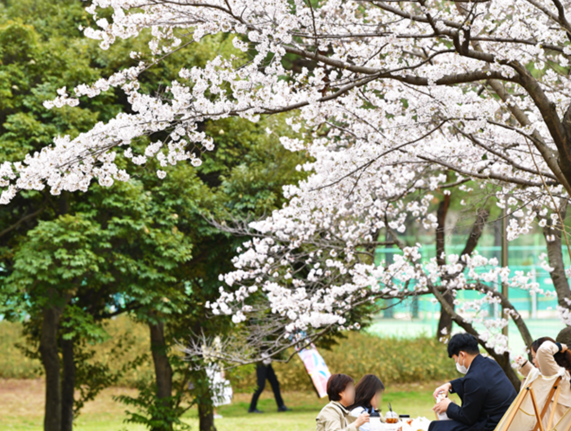 진해 가볼만한곳 베스트10