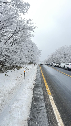 제주-한라-눈-꽃-버스-운행-정보