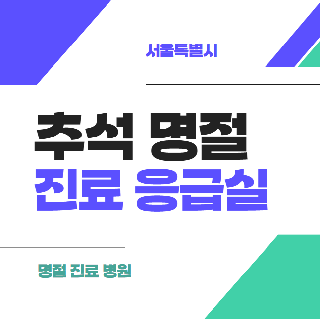 서울시 강남구 추석 명절 진료, 응급실 정보 썸네일