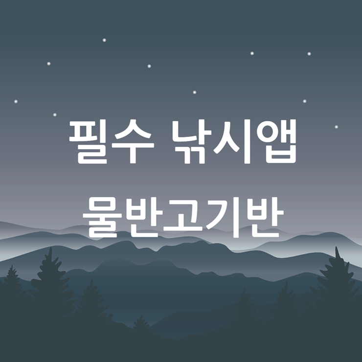 낚시앱