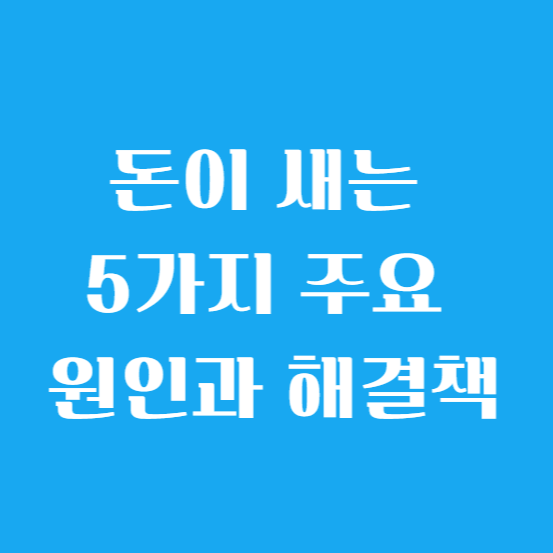 돈이 새는 5가지 주요 원인과 해결책