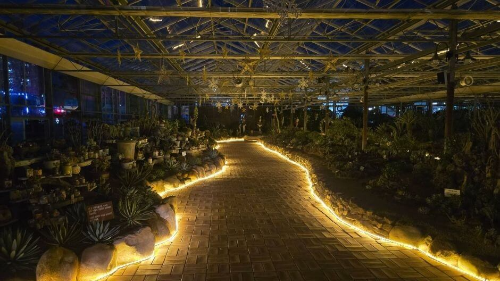 함평-겨울빛축제-참고-이미지