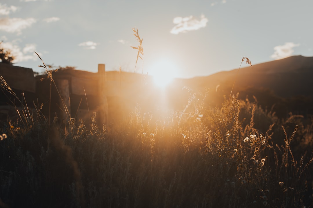 Return