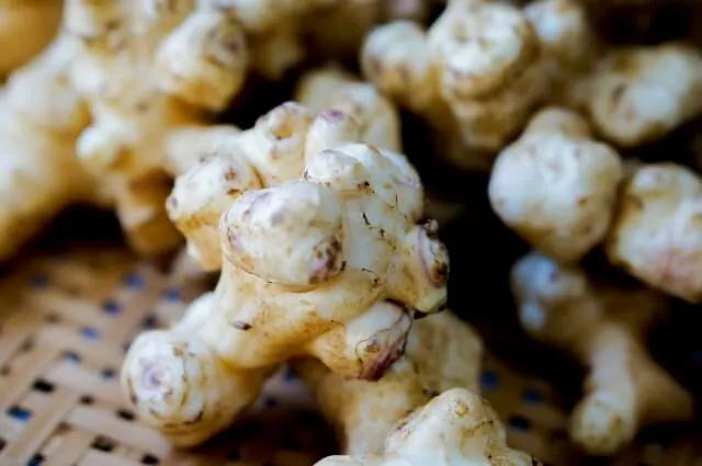 수용성 식이섬유 돼지감자