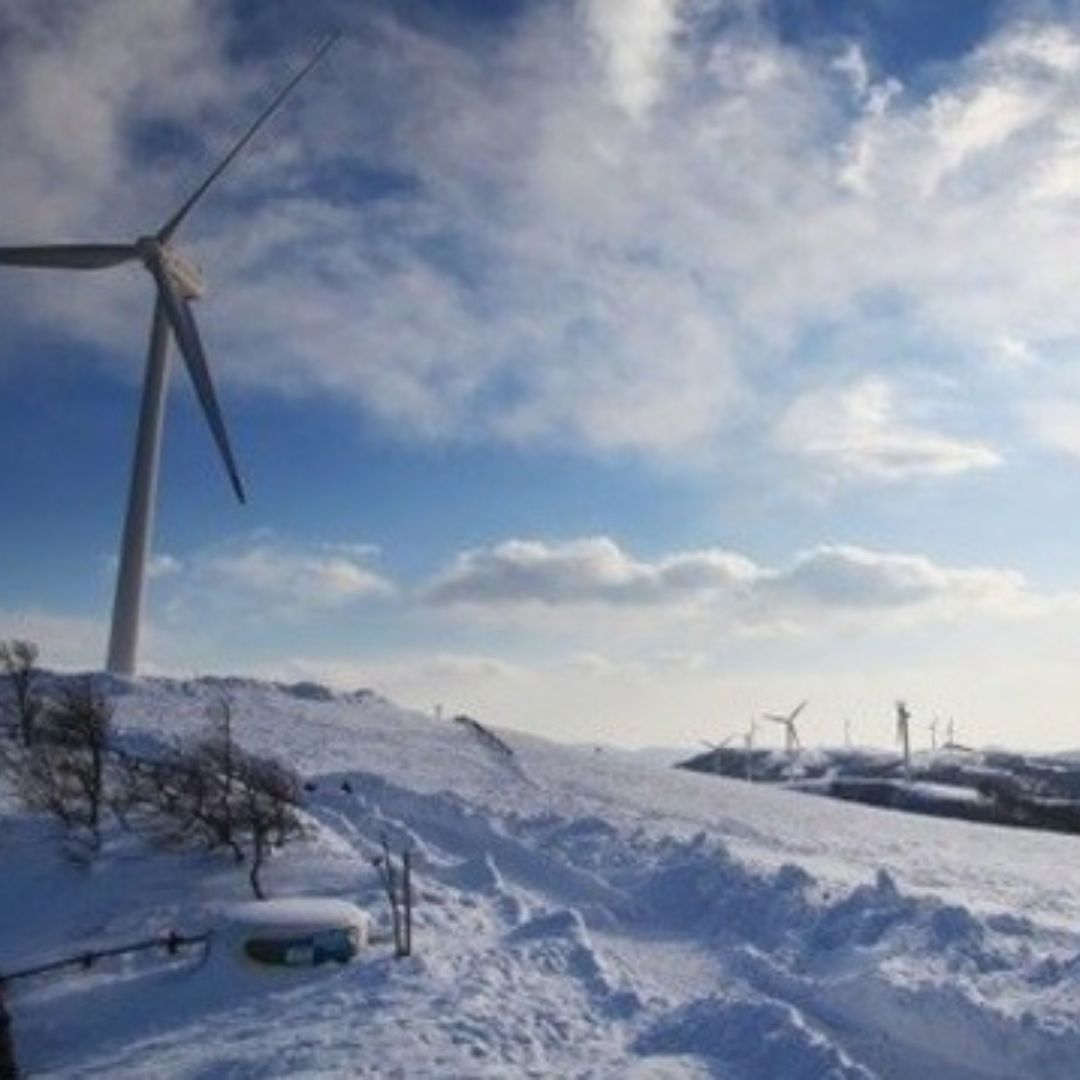 겨울에/꼭/가봐야/하는/여행지/강원도/평창