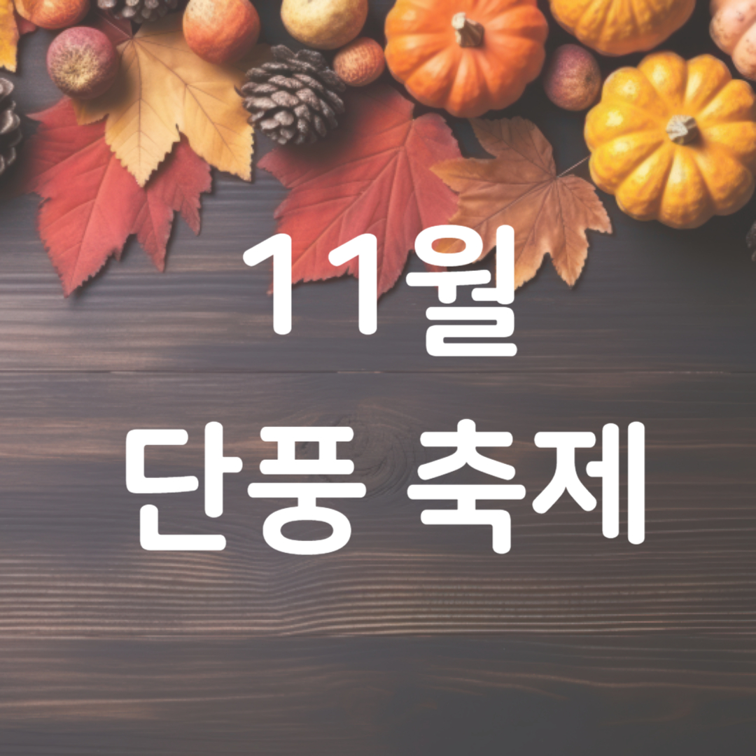 11월 단풍축제