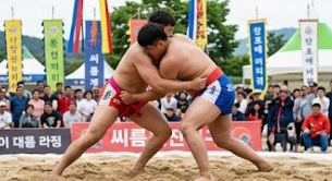 씨름