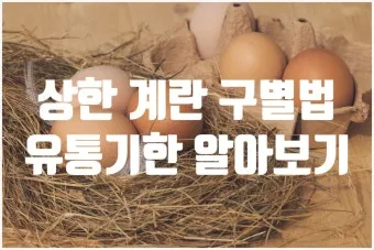 유통기한 구분 소비기한 품질유지기한 보관온도 버리는 기준_14