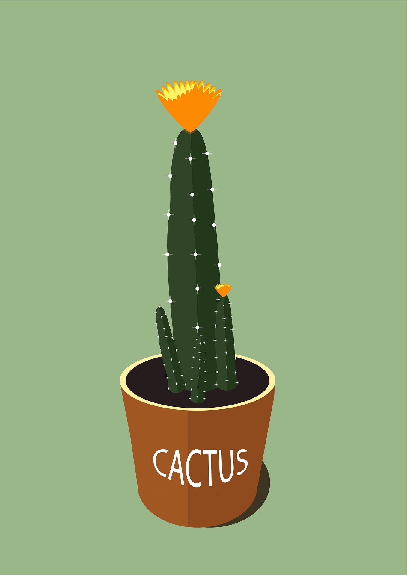 변비가 항문질환을 악화시키는 이유