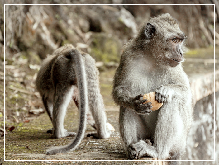 현실적인 목표 설정과 실행