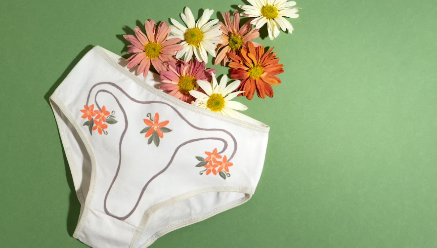 칸디다 질염의 원인