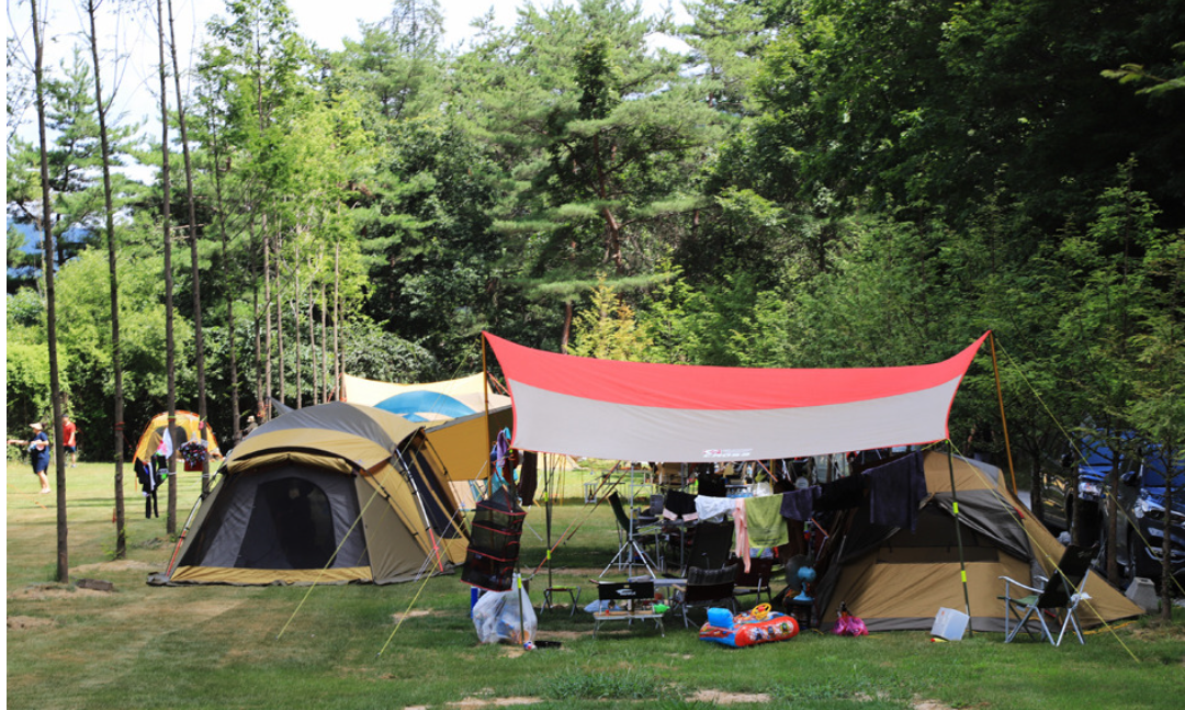 원주 피노키오자연휴양림: 캠핑장...관련, 피노키오자연휴양림캠핑장 사진