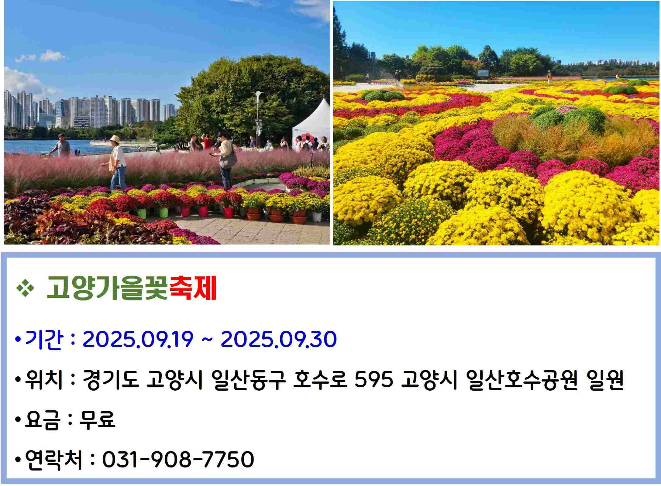 고양가을꽃축제