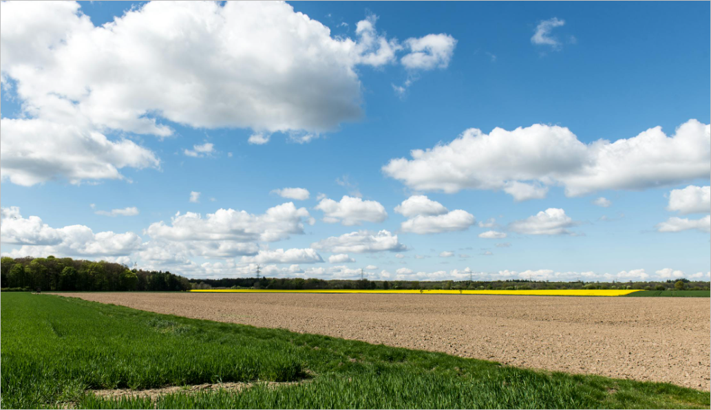 토지대장 무료열람 민원24 조회 방법