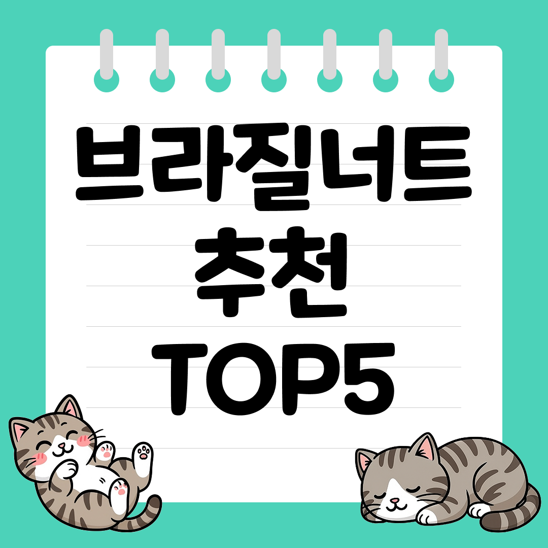 항산화와 면역 관리에 좋은 브라질너트 추천 순위 TOP5