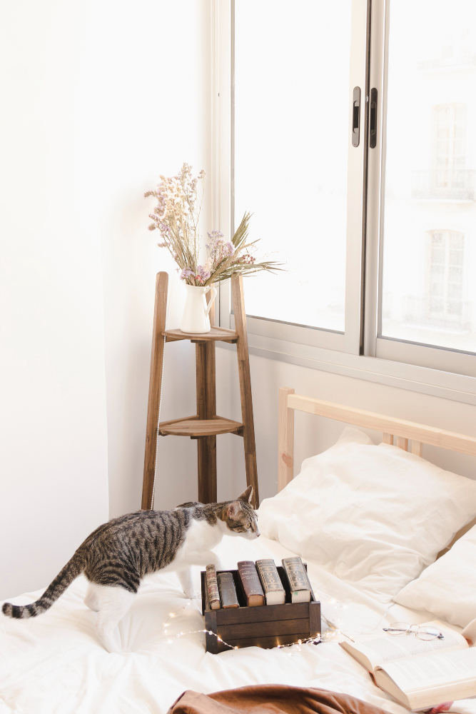 조명으로 공간감 살리기