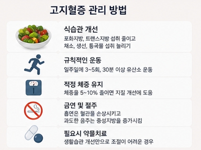 고지혈증이미지