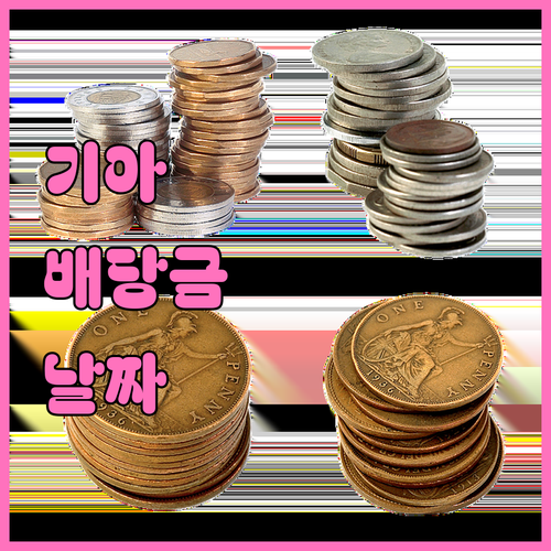 기아 2024년 결산 배당금 지급일 ..