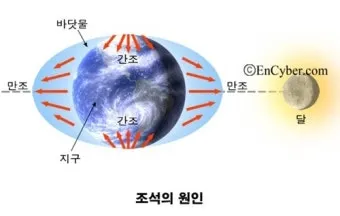 조석 물때 바다 낚시 바람 파고 배 출항 점검_10