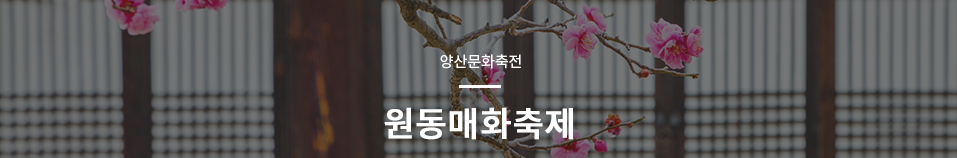 원동 매화 축제 텍스트 이미지