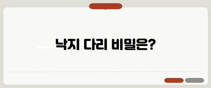 낙지 다리개수 정리 누구나 쉽게 가능