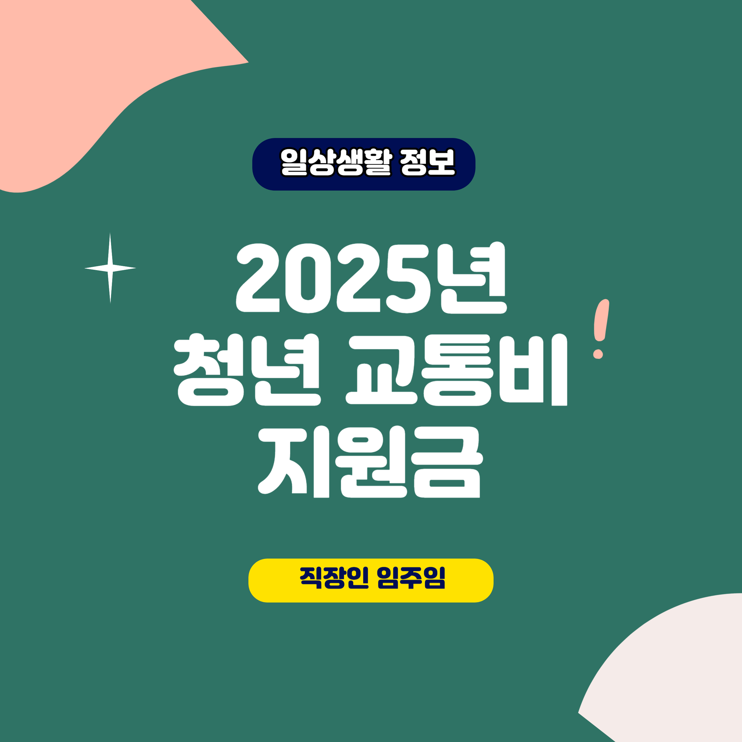 청년 교통비 지원금