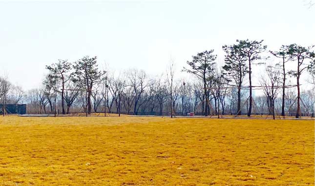 난지캠핑장 예약 방법 총정리! 가격, 시설, 이용 꿀팁까지