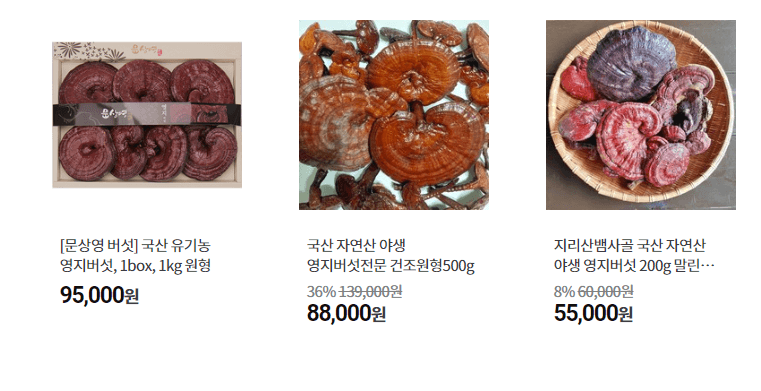 영지버섯
